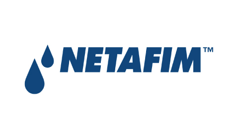 LOGO CLIENT WEB-31